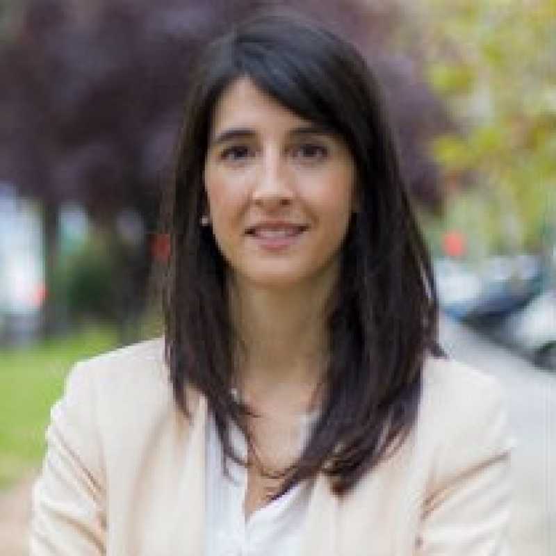 Alicia Martínez de la Muela, Coordinadora académica